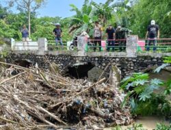 Antisipasi Terjadinya Banjir Forkopimcam Mojowarno Jombang Bersihkan Aliran Sungai