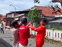 Warga Desa Gondek Mojowarno Jombang Adakan Kerja Bakti Lingkungan