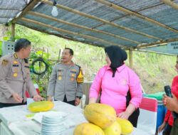 Foto Ketua Satgas Pangan Ketahanan Pangan Jatim Cek Pekarangan Pangan Lestari Di Jatim