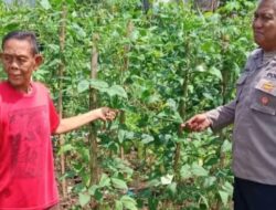 Foto : Polsek Mojowarno Polres Jombang Cek Pekarangan Gizi Di Desa Catakgayam