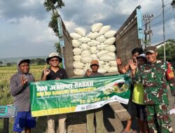 TNI dan Bulog Berkolaborasi untuk Mendukung Ketahanan Pangan di Jombang