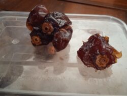 Manfaat Buah Kurma Selain untuk Puasa dan Kesehatan Tubuh