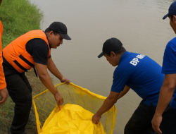 Pemuda Kudu Ditemukan Tewas di Sungai Brantas Setelah Dua Hari Pencarian