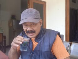 Khasiat Kembang Telang, Si Biru Cantik yang Kaya Manfaat untuk Kesehatan